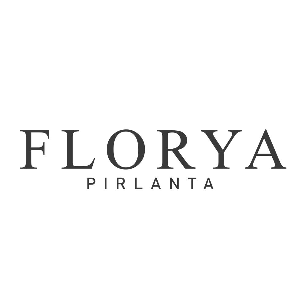 1.0 Karat Laboratuvar Pırlanta Baget  Kolye - FP07088